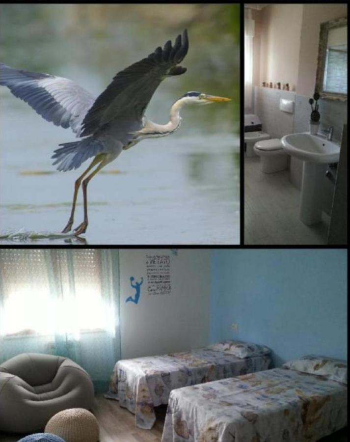Apartament I Tulipani Di Anna Castiglione del Lago Zewnętrze zdjęcie