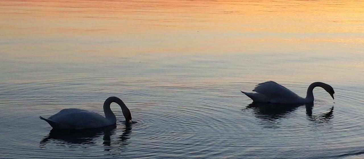 Apartament I Tulipani Di Anna Castiglione del Lago Zewnętrze zdjęcie