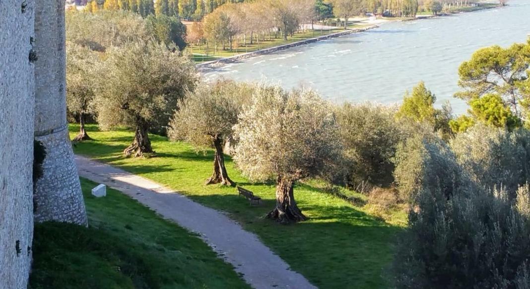 Apartament I Tulipani Di Anna Castiglione del Lago Zewnętrze zdjęcie
